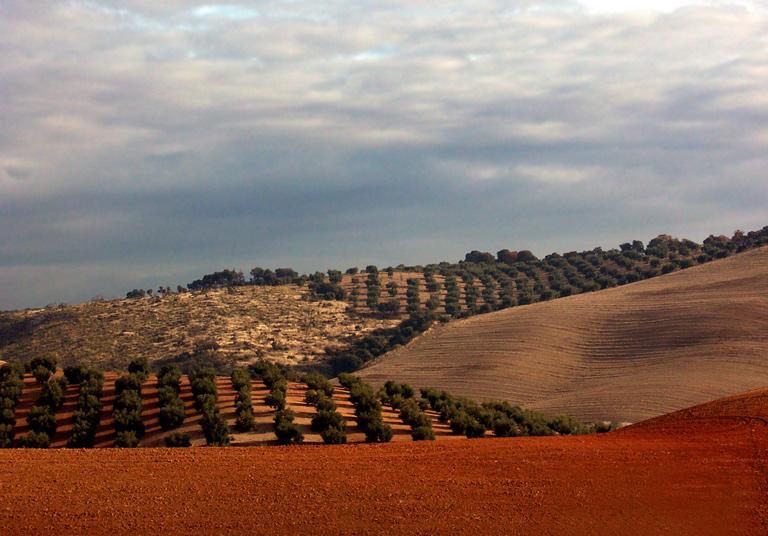Campos de Granada.jpg
